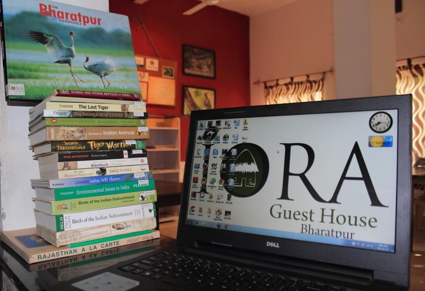 Iora Guest House Bharatpur Extérieur photo